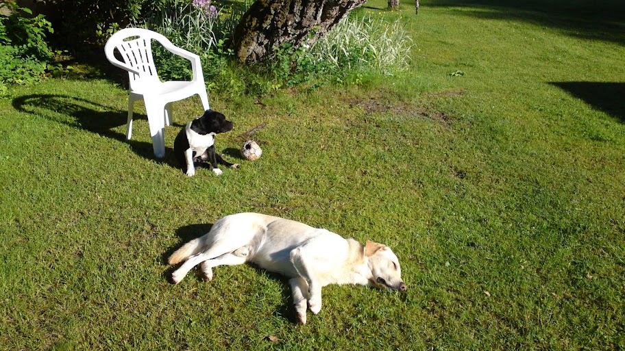20100616001.JPG