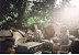 2001party3.jpg