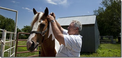 toby_the_horse_01_t640