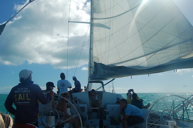 [DSC_29242.jpg]