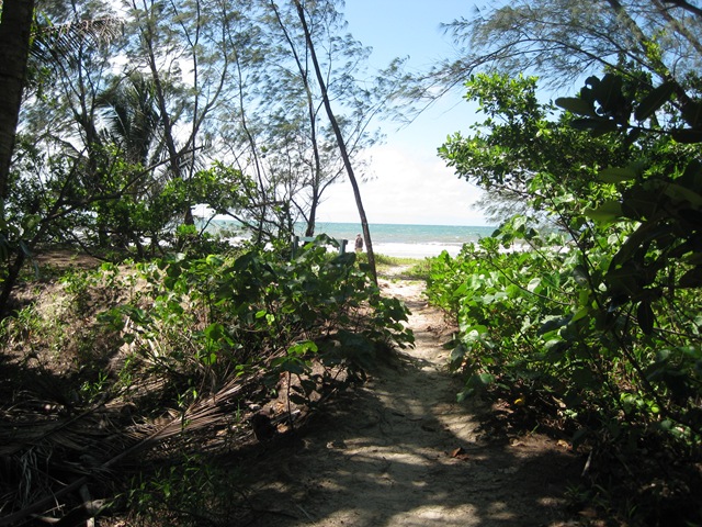 [IMG_14432.jpg]