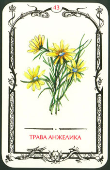 Масть Кубка. Таро Теней Card43