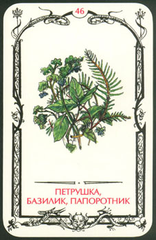 Масть Кубка. Таро Теней Card46