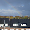 4721233503.jpg
