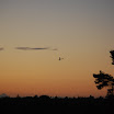 DSC_0241.JPG