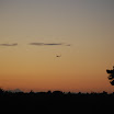 DSC_0242.JPG