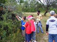 DSCF6406.jpg