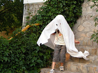 DSCF6882.jpg