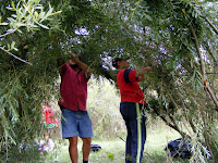 DSCF6024.jpg