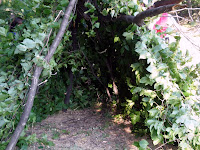 P7230254.JPG