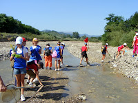 Picture 620.jpg