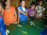 P7240304.JPG