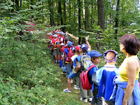 DSCF6515.jpg