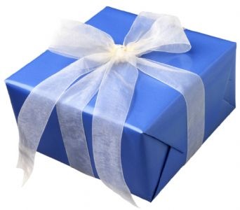 [wrappedgift3.jpg]