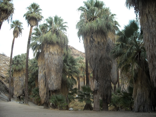 [DSCN07612.jpg]