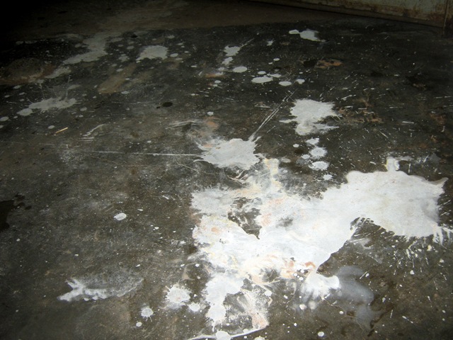 [IMG_30279.jpg]