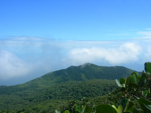 Johnson's training grounds, the trails of Volcan Maderas