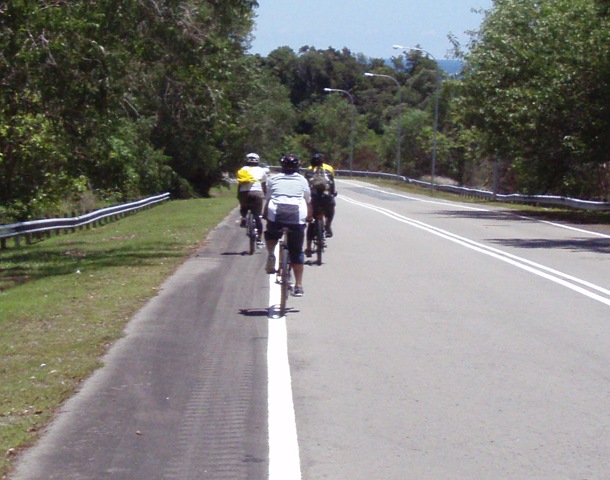 [P41803826.jpg]