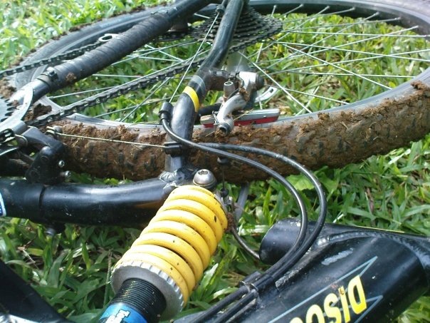 [Offroad43.jpg]