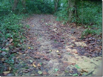 Offroad 7