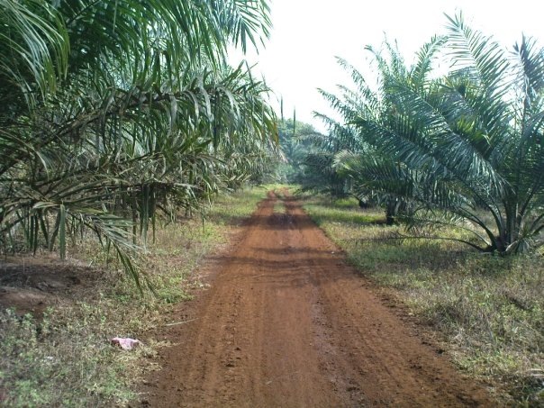 [Offroad63.jpg]