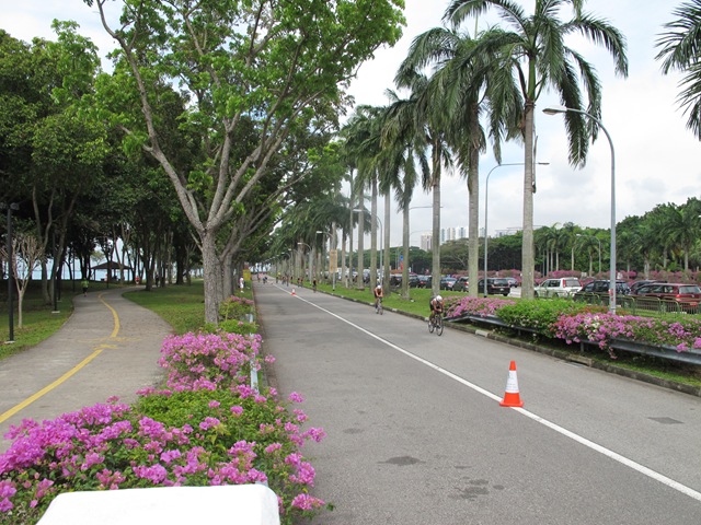 [IMG_10412.jpg]