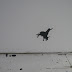 afbraak 3 - 05.jpg