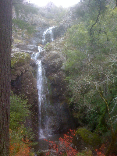 Carson Falls Marin