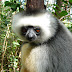 DSC02907.JPG