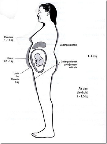 3. Distribusi kenaikan berat badan ibu hamil 3. Distribusi kenaikan berat badan ibu hamil