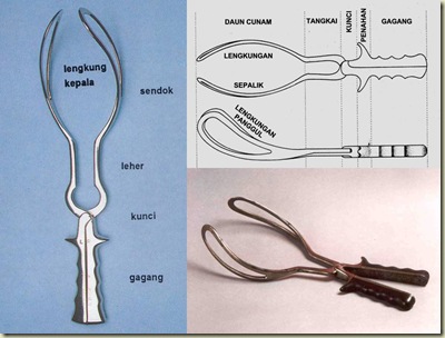 Forcep Forcep