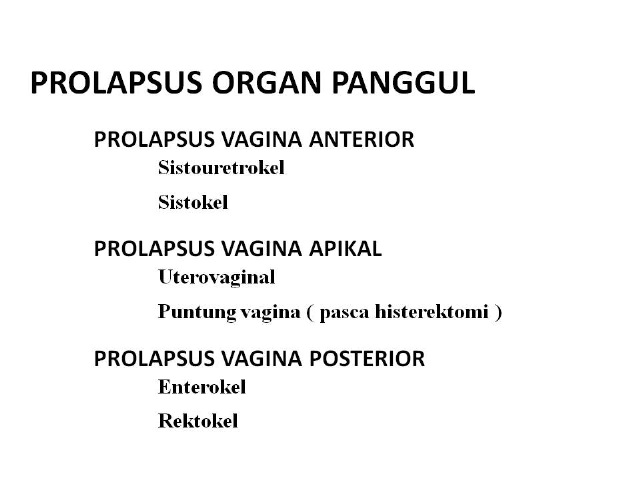 [Prolapsus Organ Panggul[3].jpg]