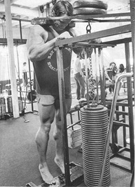 Arnold Schwarzenegger calves raise