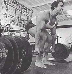 [Arnold_Schwarzenegger_powerlifting_d.jpg]