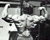 arnold-back