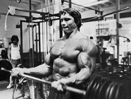 arnoldschwarzenegger227