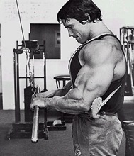 Arnold Schwarzenegger tricep pushdown