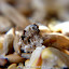 P1030085.JPG
