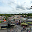 P1050874.JPG