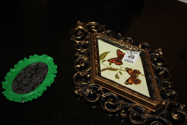 IMG_0562 IMG_0562