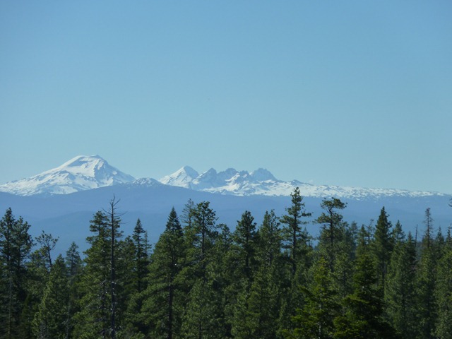[P1000621[2].jpg]