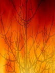 incêndios.jpg