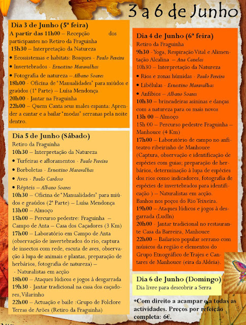 Programa-net.jpg