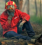Dia Mundial Bombeiros.jpg