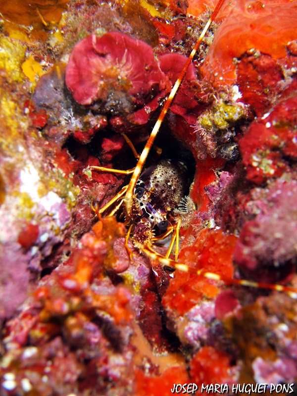 JH034472.jpg