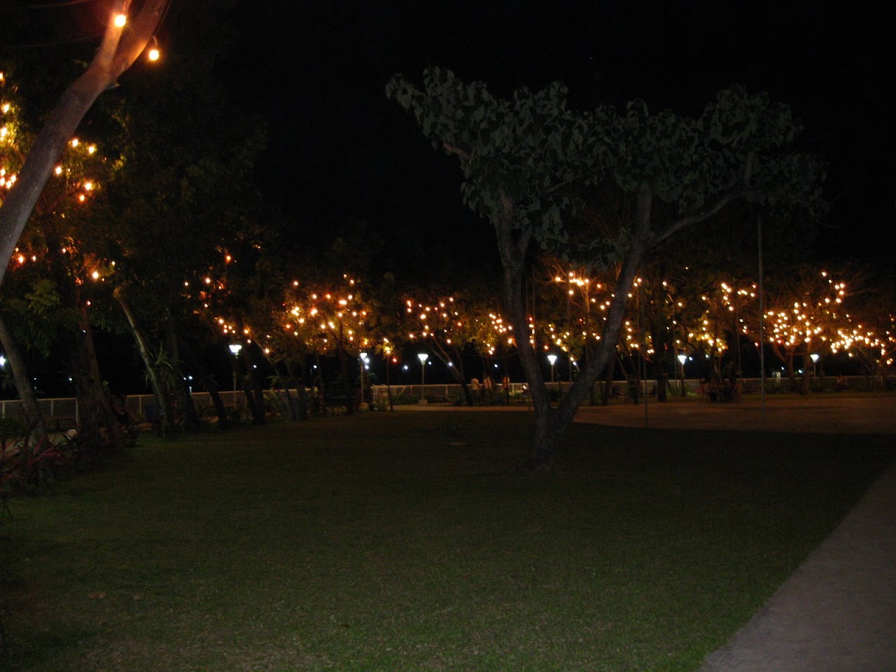 [Carmen-Plaza-Cebu-December-Night-2071.jpg]