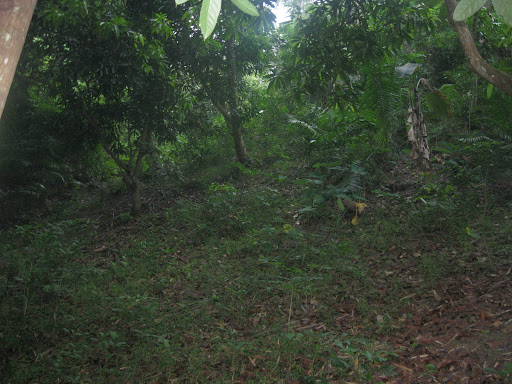 Uragay Spring in Corte Carmen