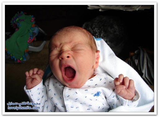 Cute babies with their funniest yawn Cute babies with their funniest yawn