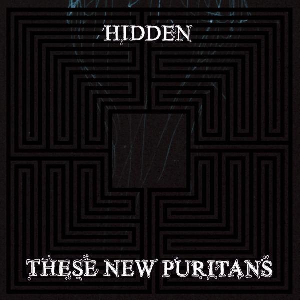 [these new puritans[3].jpg]