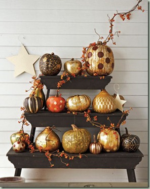 pumpkin cl